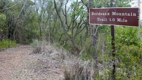Bordeaux Mountain Trail